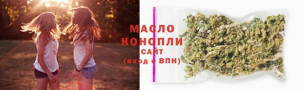 индика Волоколамск