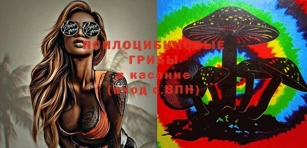 спиды Алексеевка