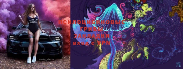 спиды Алексеевка