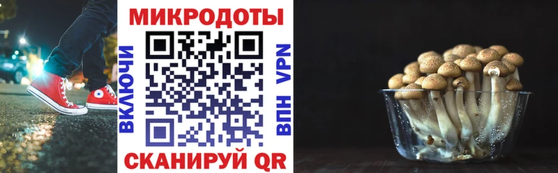 KRAKEN зеркало  Энем  Псилоцибиновые грибы прущие грибы 